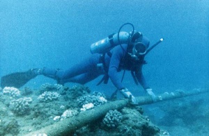 Potapljač pregleduje optični kabel v plitvem morju.